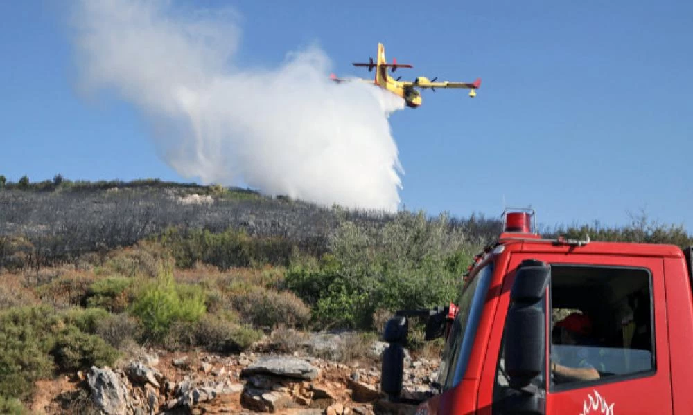 Πυρκαγιά σε δασική έκταση στη Ρόδο